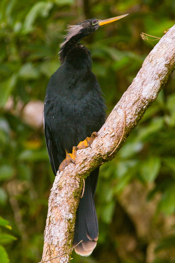 My Neck Is Fine, Thanks For Asking